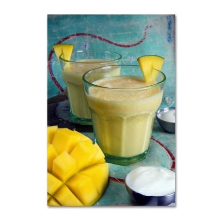Robert Harding Picture Library 'Mango Smoothie' Canvas Art,12x19